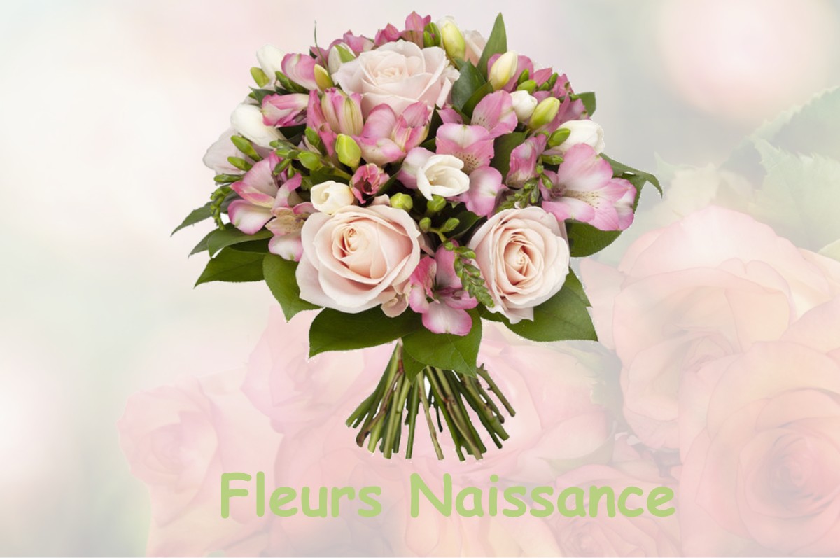 fleurs naissance BUROSSE-MENDOUSSE